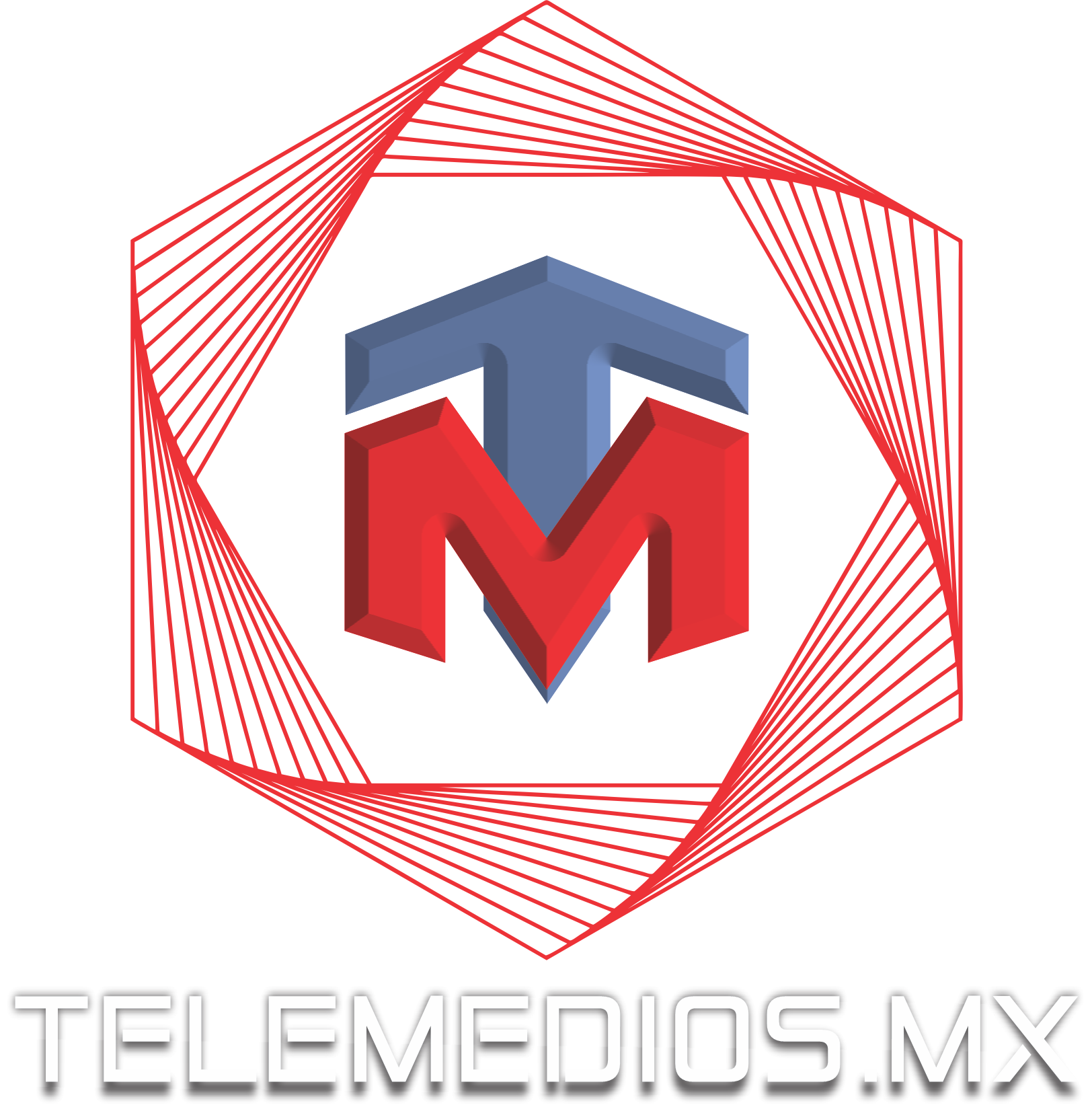 Telemedios logo